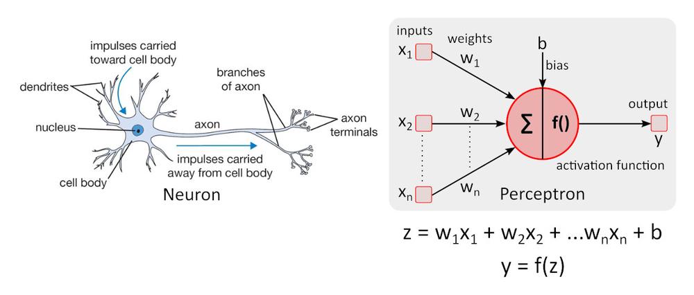 Artificial Intelligence on the Edge of Your Network