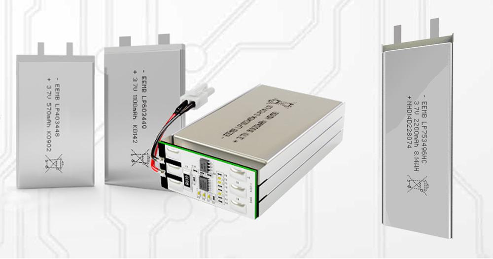 LiPol rechargeable batteries for industrial applications