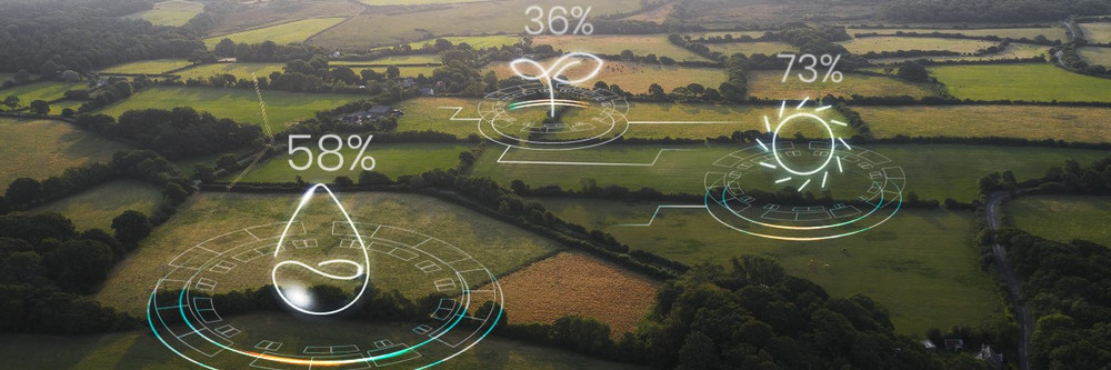 Amministratore delegato di Intelliport: le tecnologie IoT trovano applicazione in molte aree della nostra vita