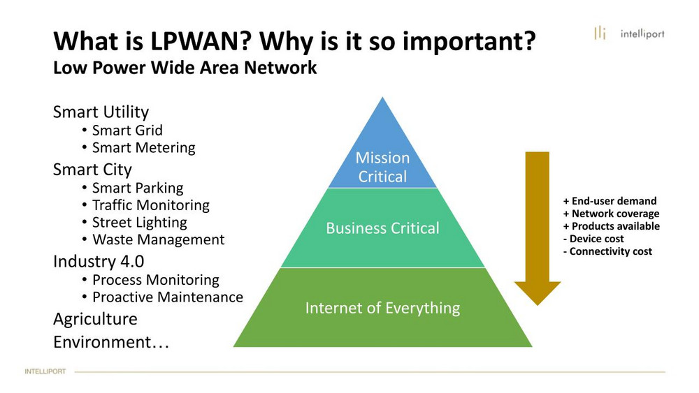 CEO Intelliport: IoT Technologies Are Used in Many Areas of Our Lives